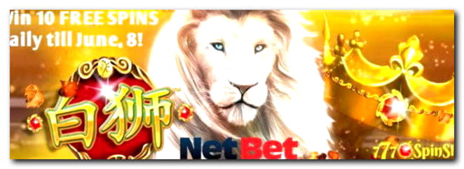 €110 Online Casino Tournament at Jackpot City Casino